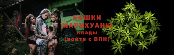 сатива Горно-Алтайск