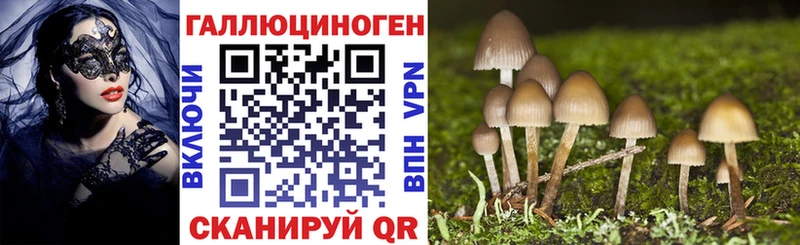 Псилоцибиновые грибы мицелий  Купить  Белоярский 